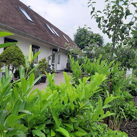 Hotel Landlust! Hoyerswerda Zewnętrze zdjęcie