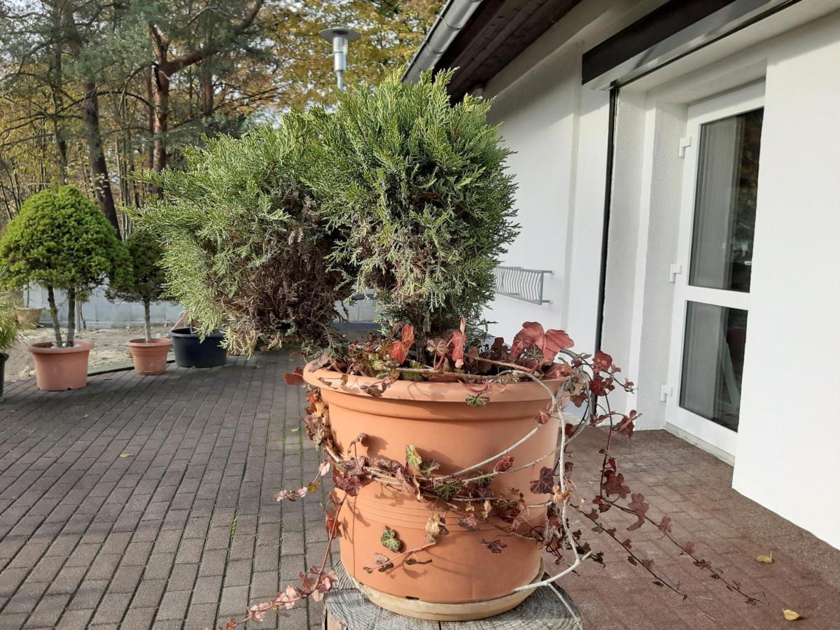 Hotel Landlust! Hoyerswerda Zewnętrze zdjęcie