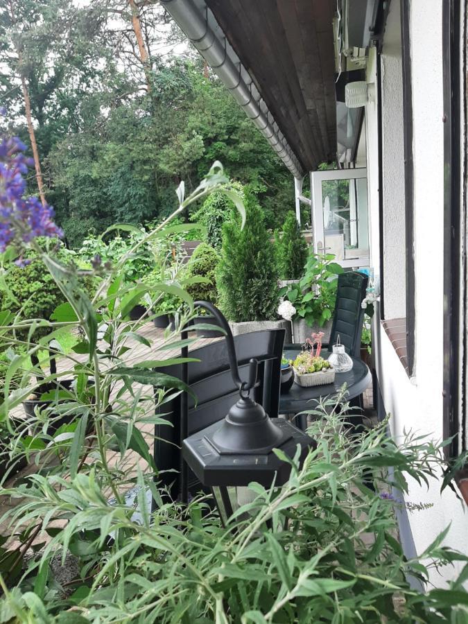 Hotel Landlust! Hoyerswerda Zewnętrze zdjęcie