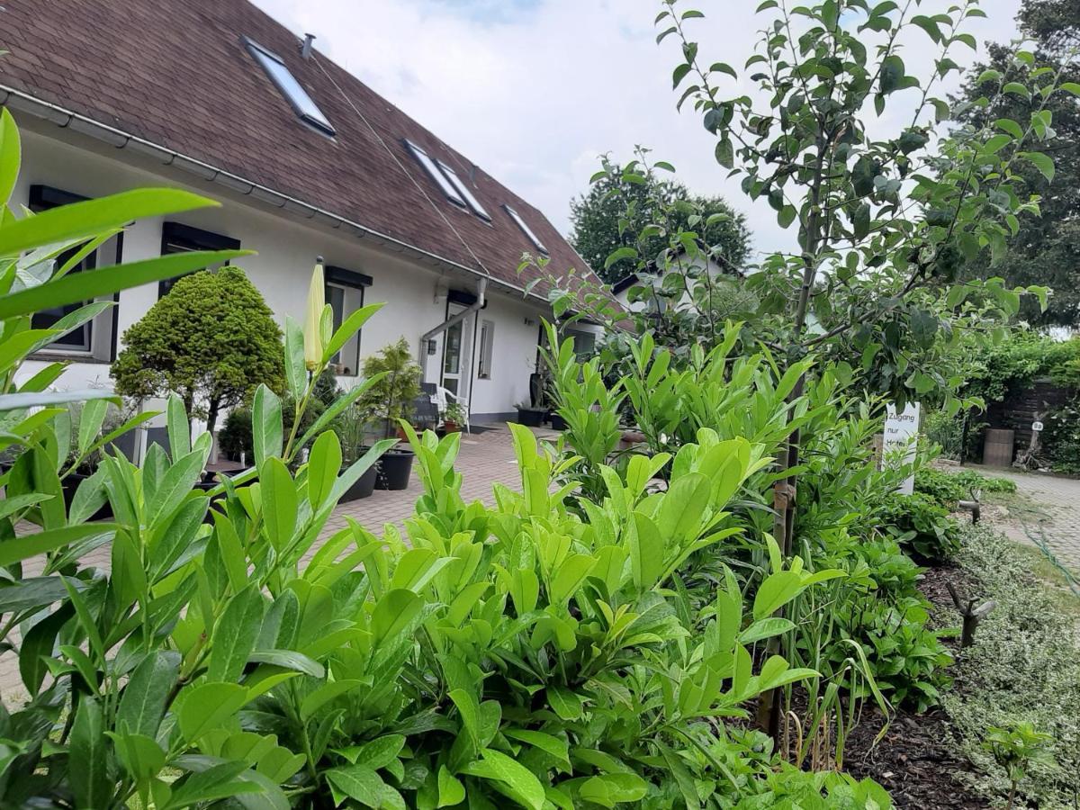 Hotel Landlust! Hoyerswerda Zewnętrze zdjęcie