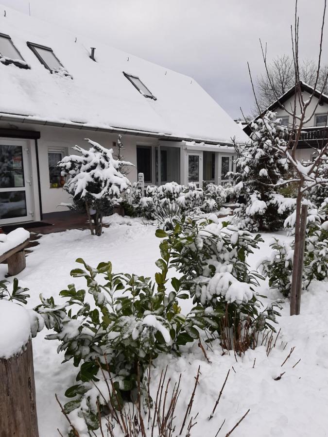 Hotel Landlust! Hoyerswerda Zewnętrze zdjęcie
